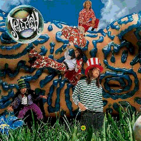 Jellyfish- Bellybutton